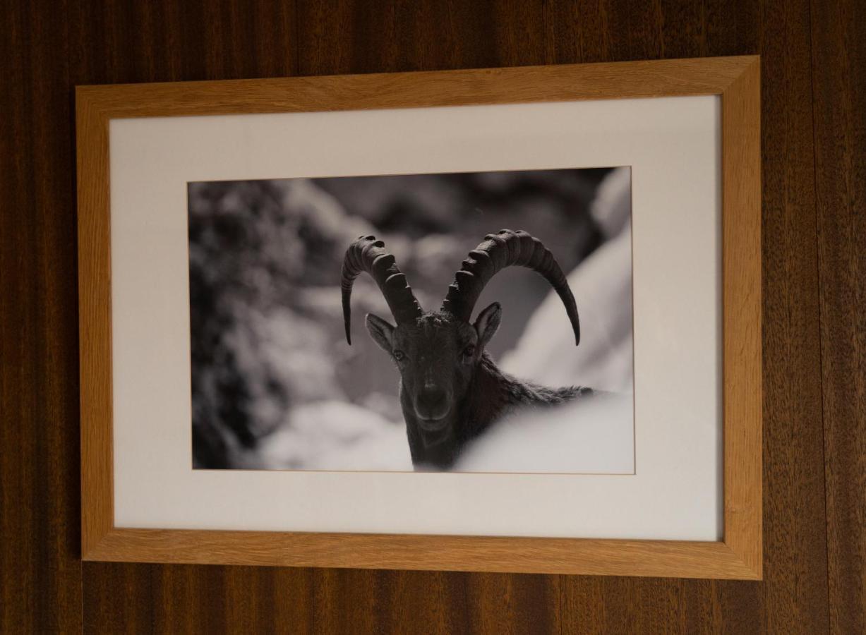 Hotel Les Chamois Verbier Eksteriør bilde